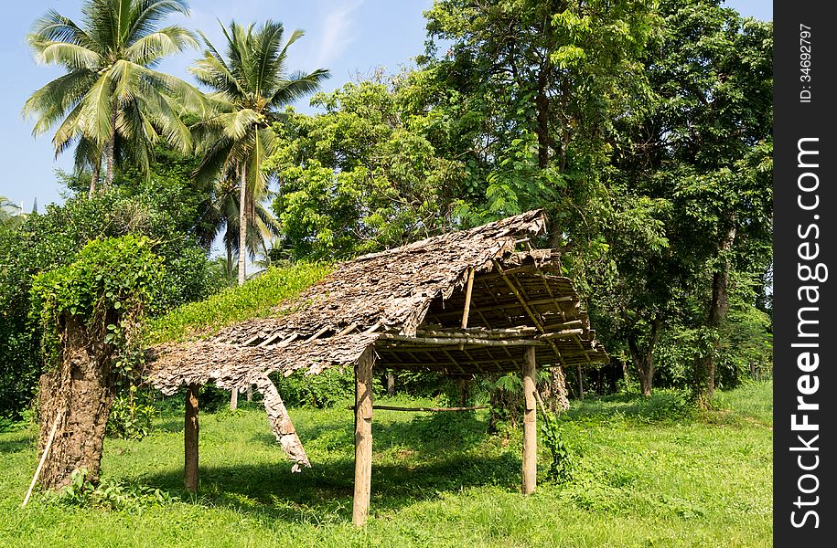 Outdoor shot of a old ramshackle wooden shack in the forest