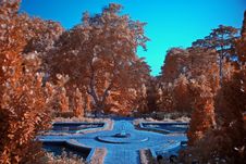 Infrared Photo – Tree And Park Royalty Free Stock Photography Infrared Photo – Tree And Park Royalty Free Stock Photography