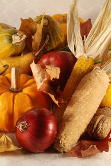 Autumn Still-life Royalty Free Stock Images Autumn Still-life Royalty Free Stock Images