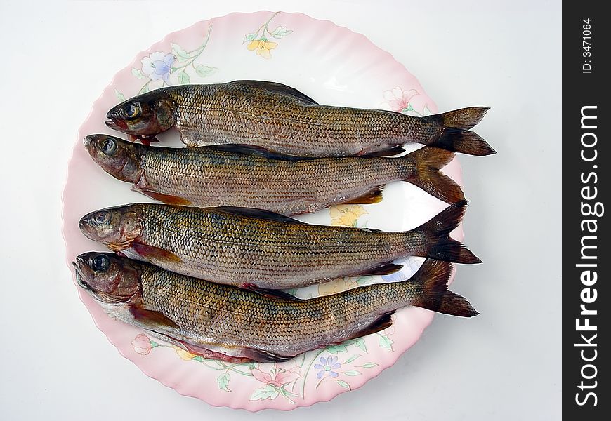 Four grayling fishes on the porcelain plate