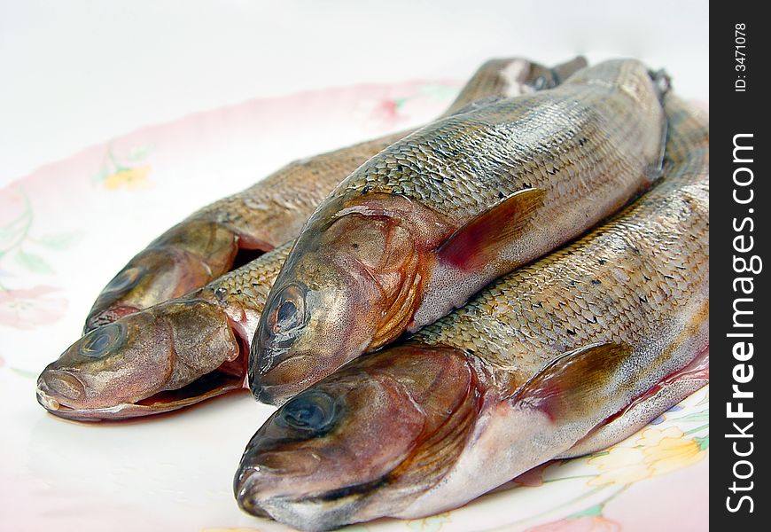 Closeup four grayling fishes on the porcelain plate