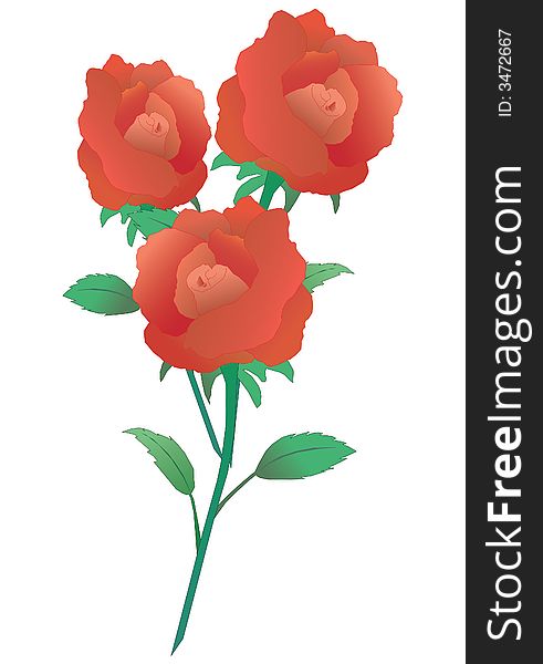 Red beautiful flowers, , illustration