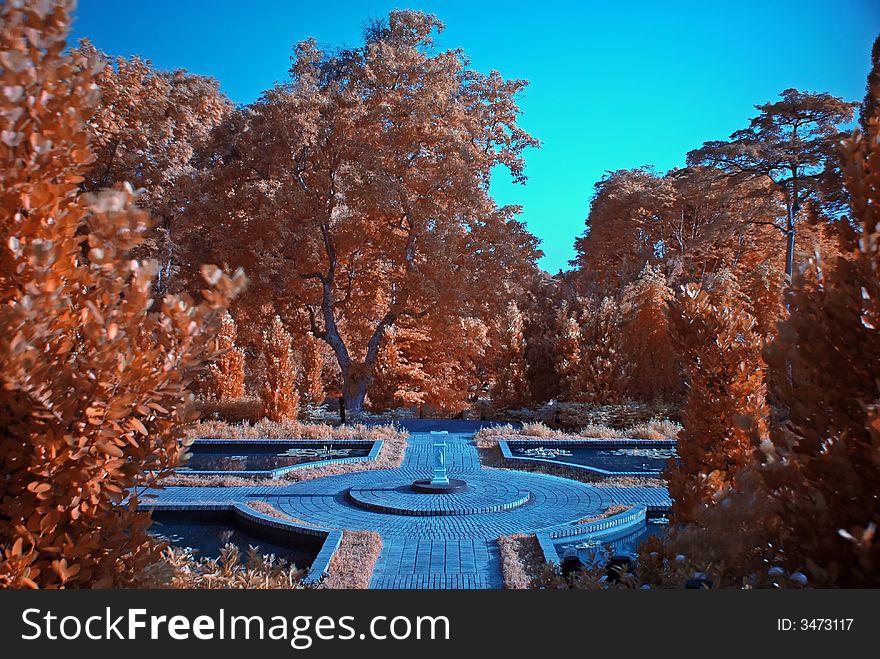 Infrared photo – tree and flower in the parks. Infrared photo – tree and flower in the parks