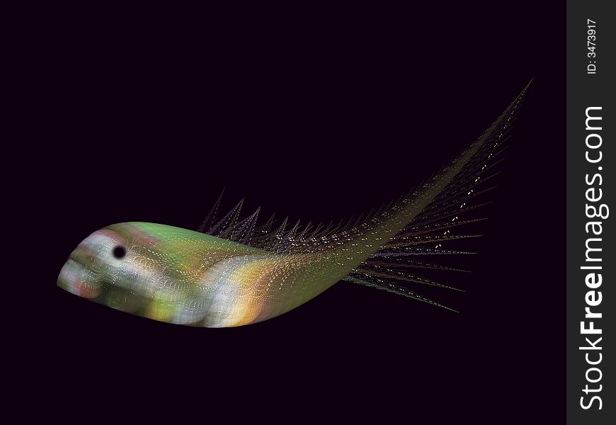 An exotic fish creation on a black background. An exotic fish creation on a black background