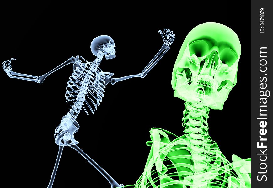 An image of two xrays of some skeletons, a good Halloween or possible medical based image. An image of two xrays of some skeletons, a good Halloween or possible medical based image.