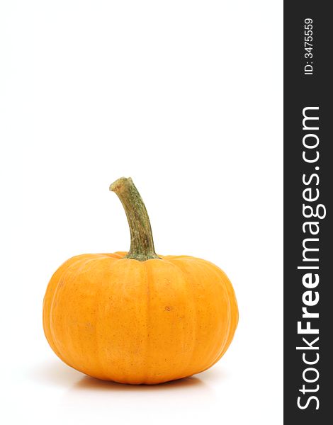 Shot of an isolated pumpkin on white level