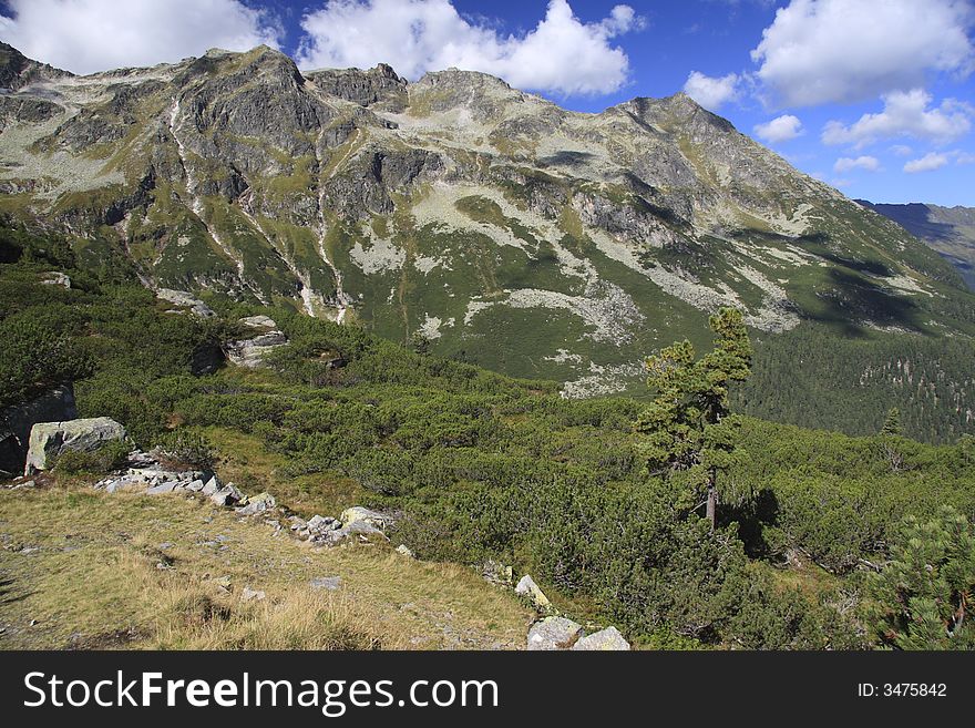 Alpine mountain with tree and clouds
