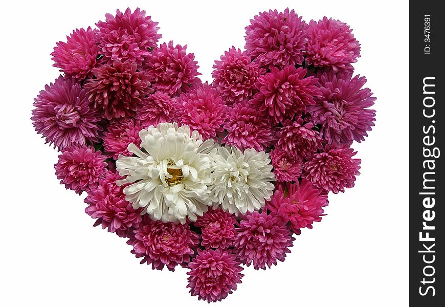 floral heart, on a white background