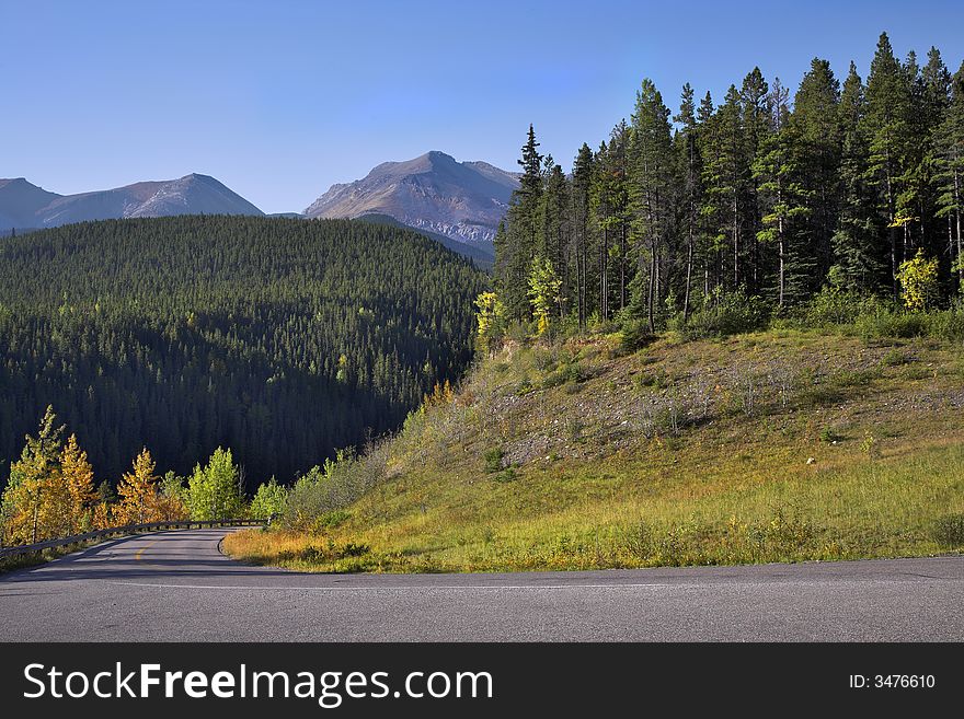 Picturesque road and trees with yellow and green foliage in mountain reserve. Picturesque road and trees with yellow and green foliage in mountain reserve