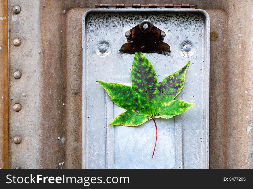 Green Leaf On Clipboard