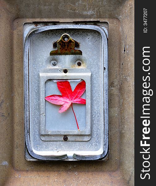 Red leaf on clipboard