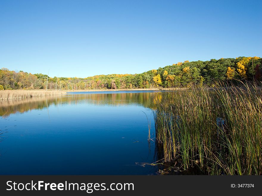 Fall pond with a blue sky and autumn trees