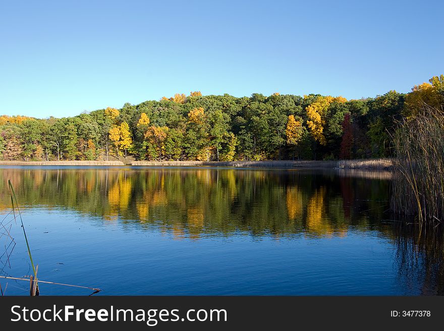 Fall pond with a blue sky and autumn trees