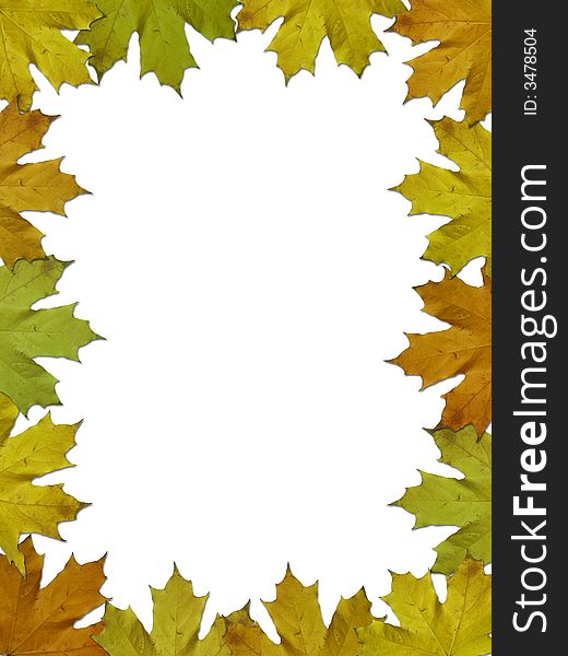 Frame with nice autumn leaves. Frame with nice autumn leaves