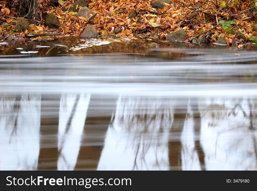 A reflection of trees in a river