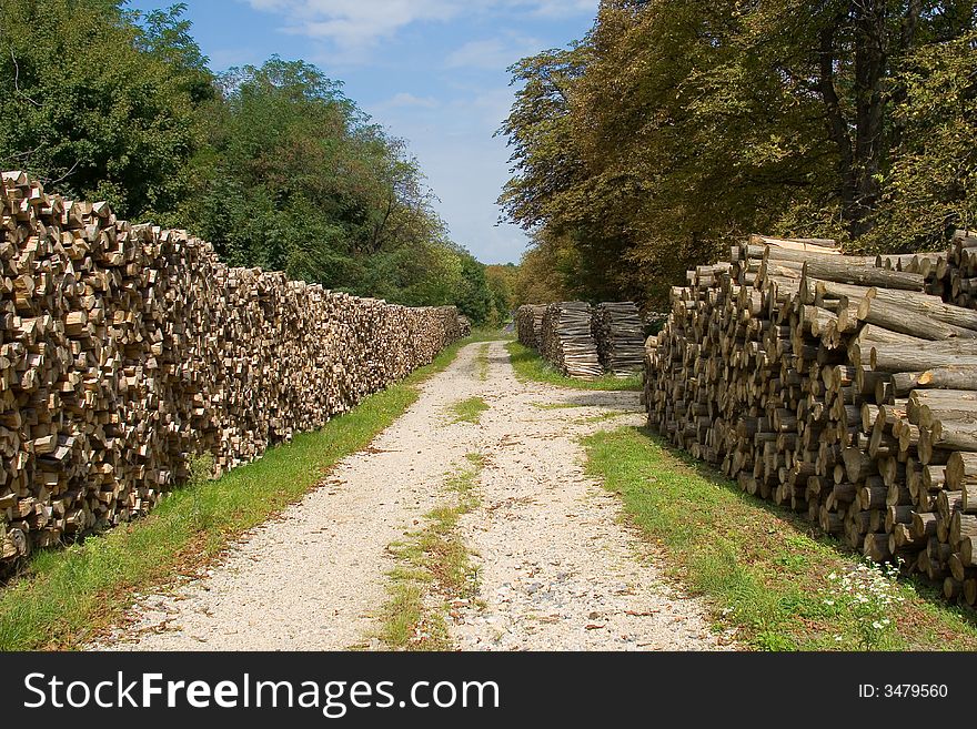 He is a woodpile waiting for transport, which is used for a power station's heating. He is a woodpile waiting for transport, which is used for a power station's heating.