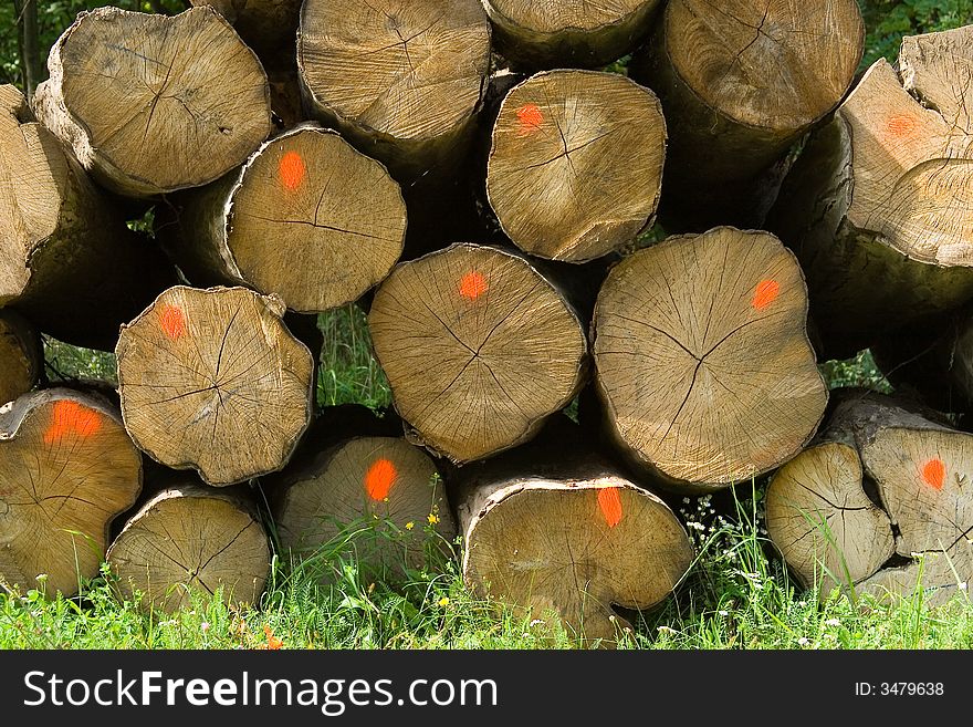 He is a woodpile waiting for transport, which is used for a power station's heating. He is a woodpile waiting for transport, which is used for a power station's heating.