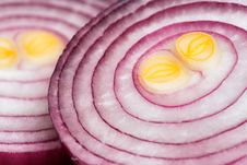 Sliced Red Onions Royalty Free Stock Images Sliced Red Onions Royalty Free Stock Images