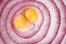Sliced Red Onions Stock Photo Sliced Red Onions Stock Photo