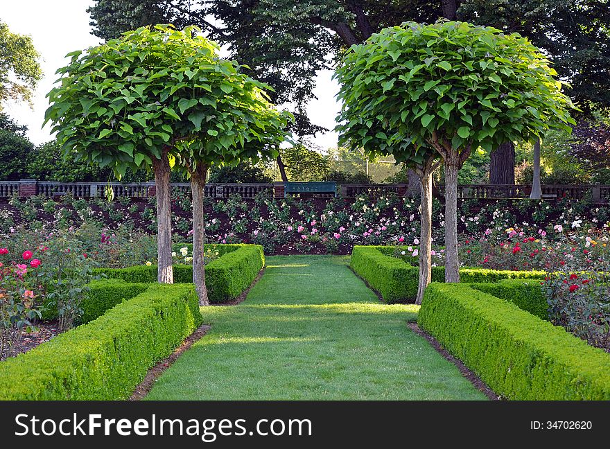Beautiful green park with colorful rose garden. Beautiful green park with colorful rose garden