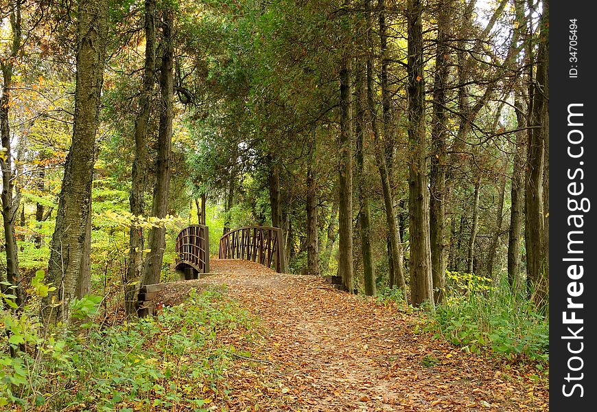 A hiking trail bridge in the beautiful autumn forest.