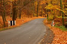 The Road Through The Autumnal Forest. Royalty Free Stock Photography The Road Through The Autumnal Forest. Royalty Free Stock Photography