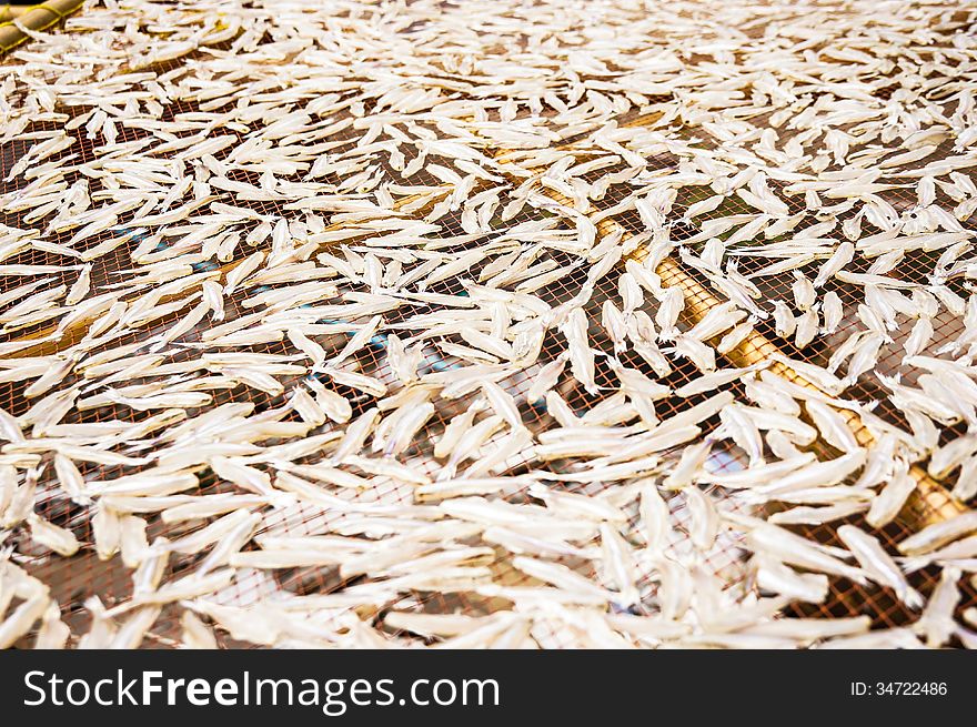 Dry fish in Thailand seafood market