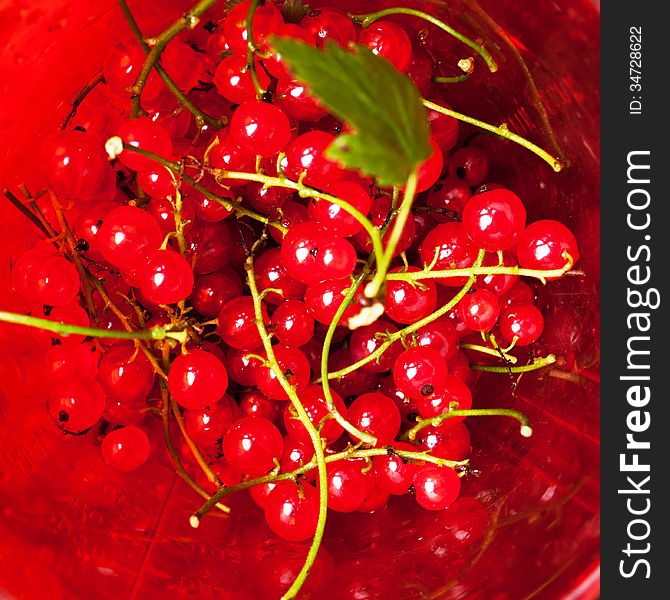 Fresh red currant berries in a wicker bowl in the old wooden table. Fresh red currant berries in a wicker bowl in the old wooden table