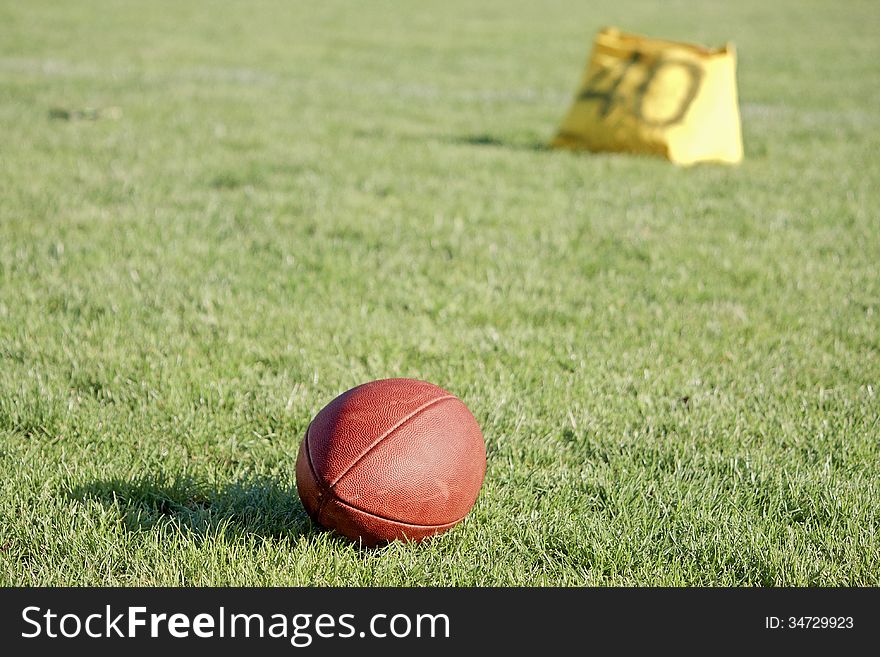 American football ball on the grass. American football ball on the grass