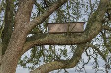 Bird House On The Tree Stock Images Bird House On The Tree Stock Images