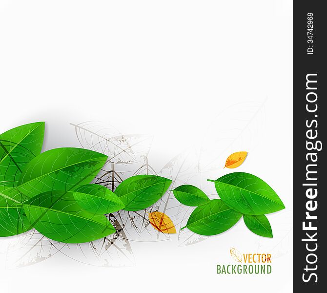 Green leaves background with decorative elements