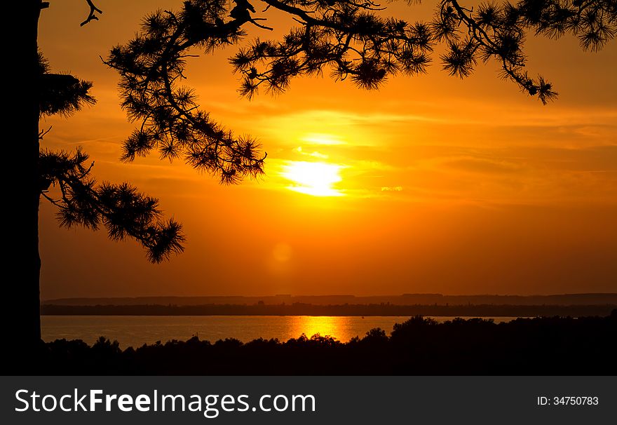 Beautiful sunset over the lake with pine tree