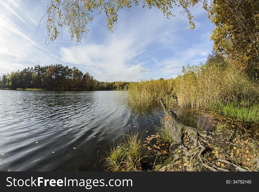 Little Pond And Autumn Forest