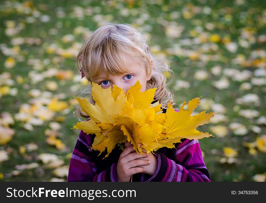 Blond child holding a bunch of autumn leaves. Blond child holding a bunch of autumn leaves