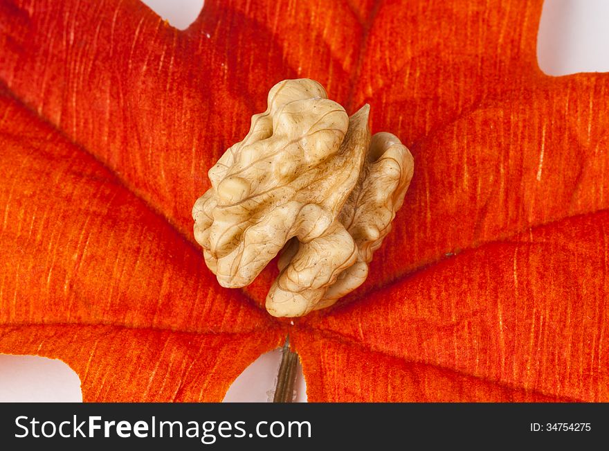 Walnut on a leaf in fall