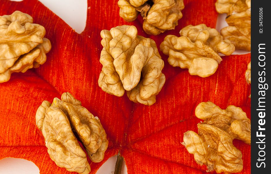 Walnuts on a leaf in fall