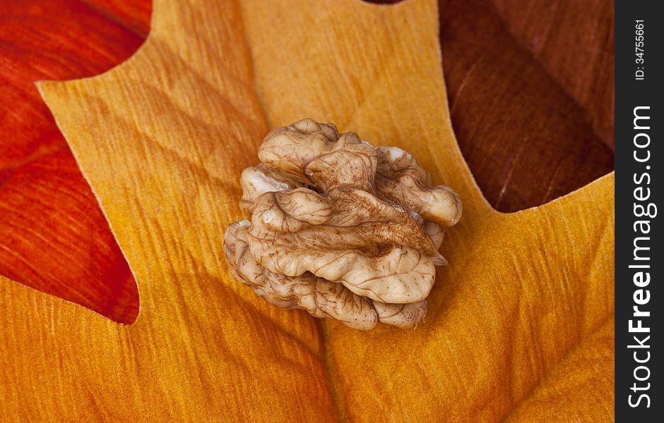 Walnuts on leaf without the shell