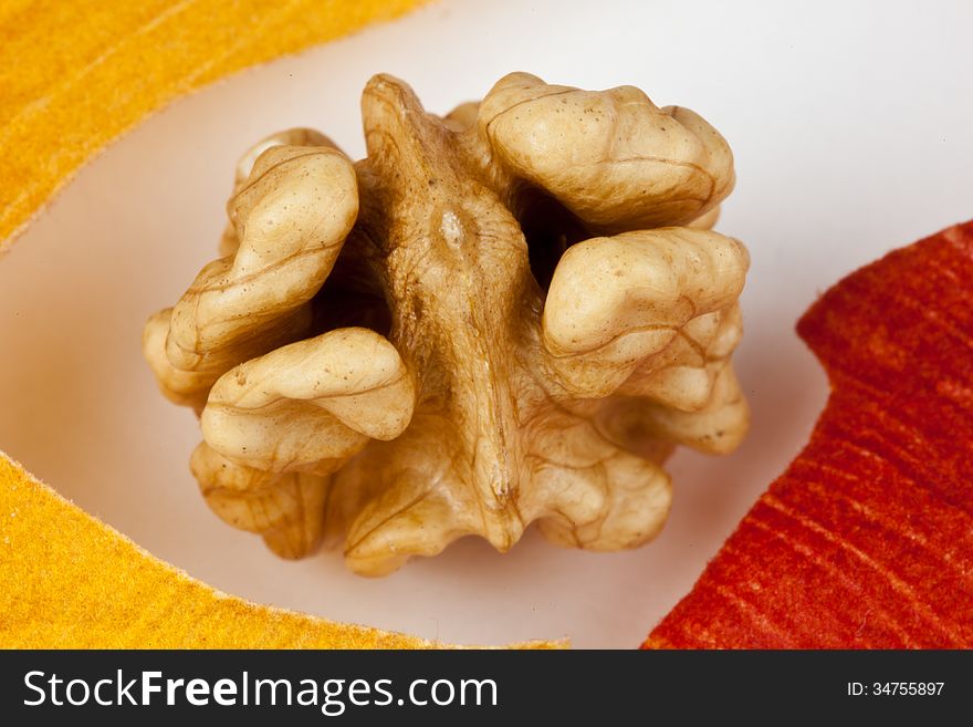 Walnut on white background looking like a chicken