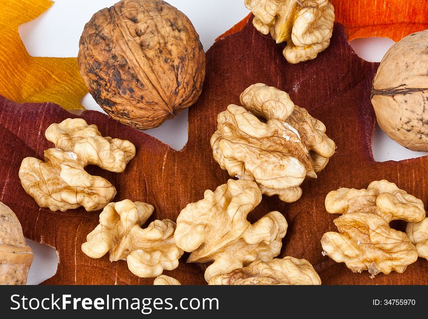 Walnuts on a leaf in fall