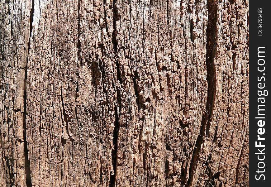 Veins, cracks, decay and weathering show the age of this plank. Veins, cracks, decay and weathering show the age of this plank