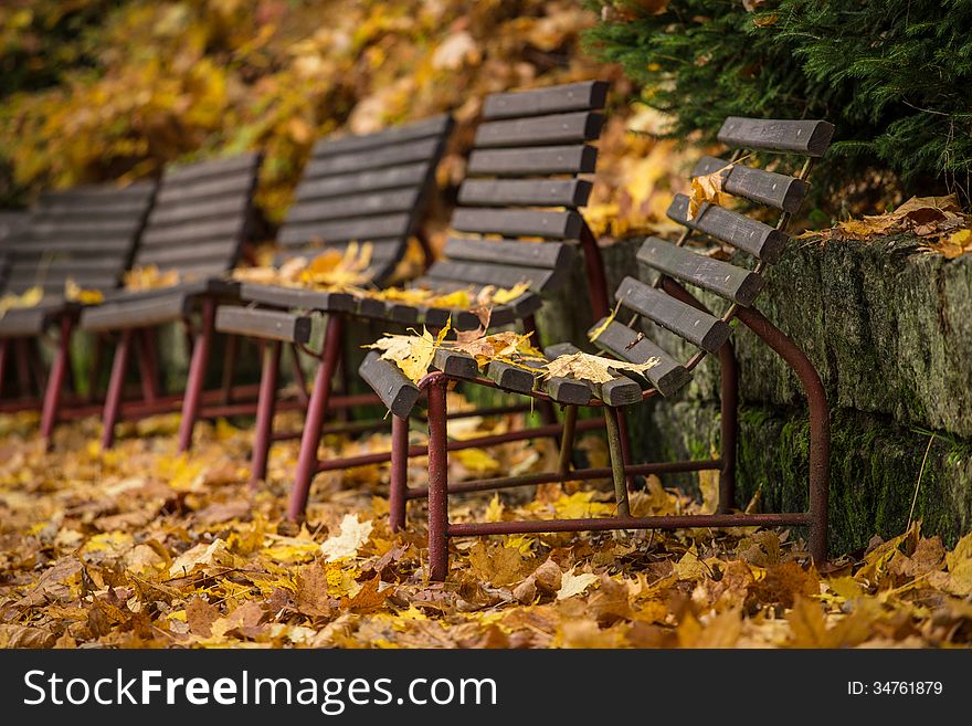 Autumn bench in the park