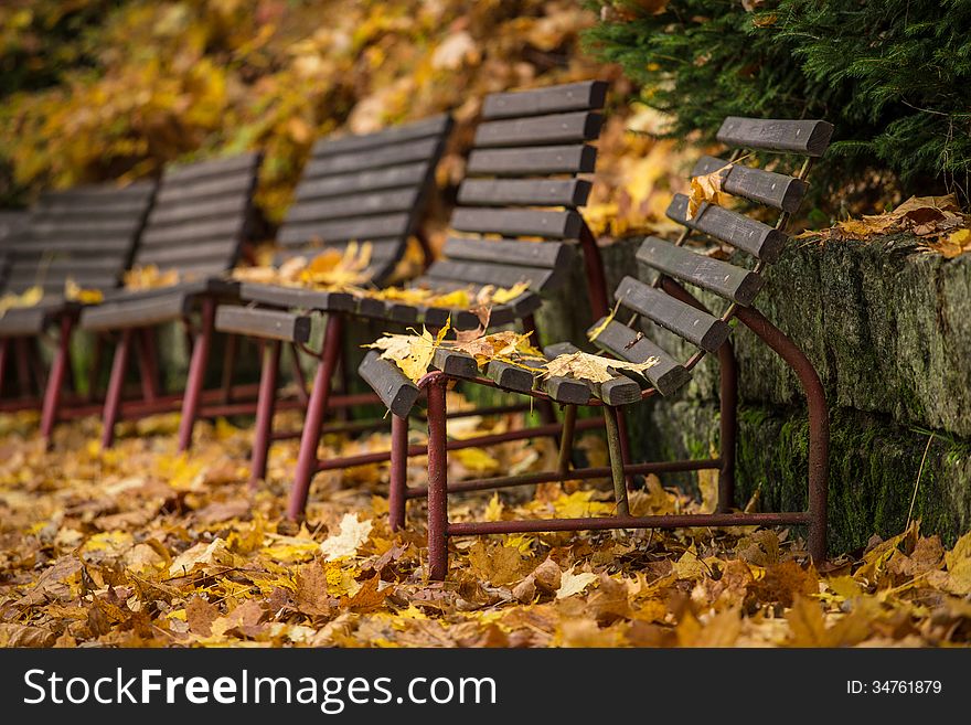 Autumn Bench