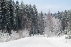 Winter Forest And A Snow Road Royalty Free Stock Image Winter Forest And A Snow Road Royalty Free Stock Image