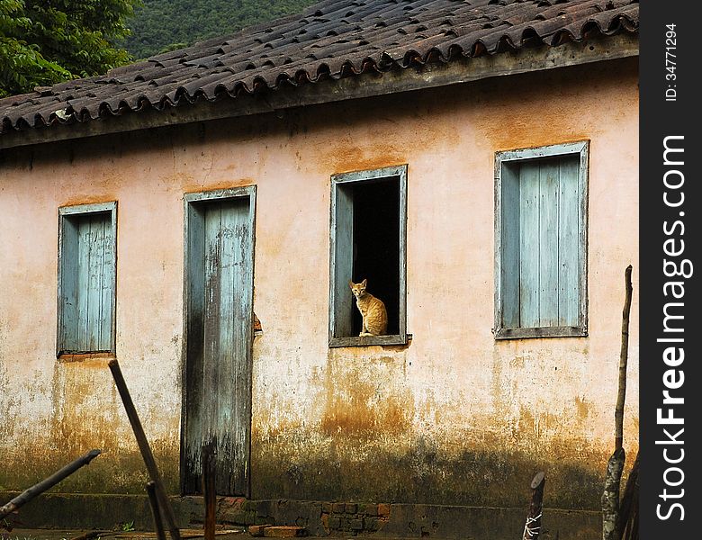 A cat in a humble and old rural home. A cat in a humble and old rural home.