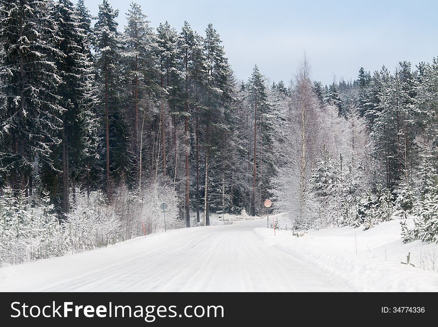 Snow covered trees and road in winter. Snow covered trees and road in winter