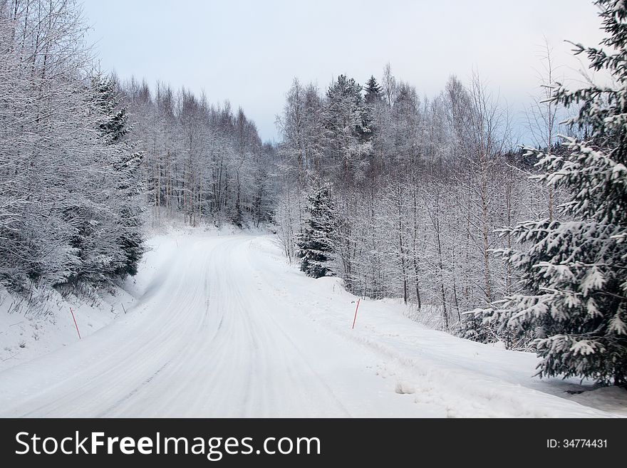 Winter Forest And A Snow Road