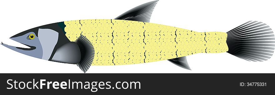 Image of ocean fish illustration. Image of ocean fish illustration