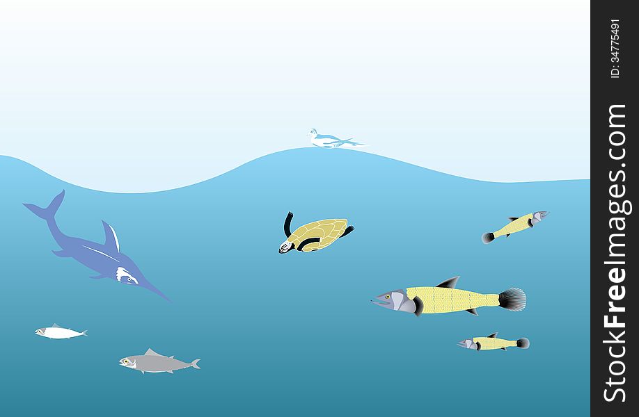 Ocean life illustration inhabitants. Ocean life illustration inhabitants