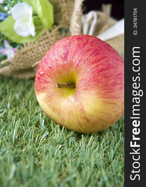 Fresh apple on green grass