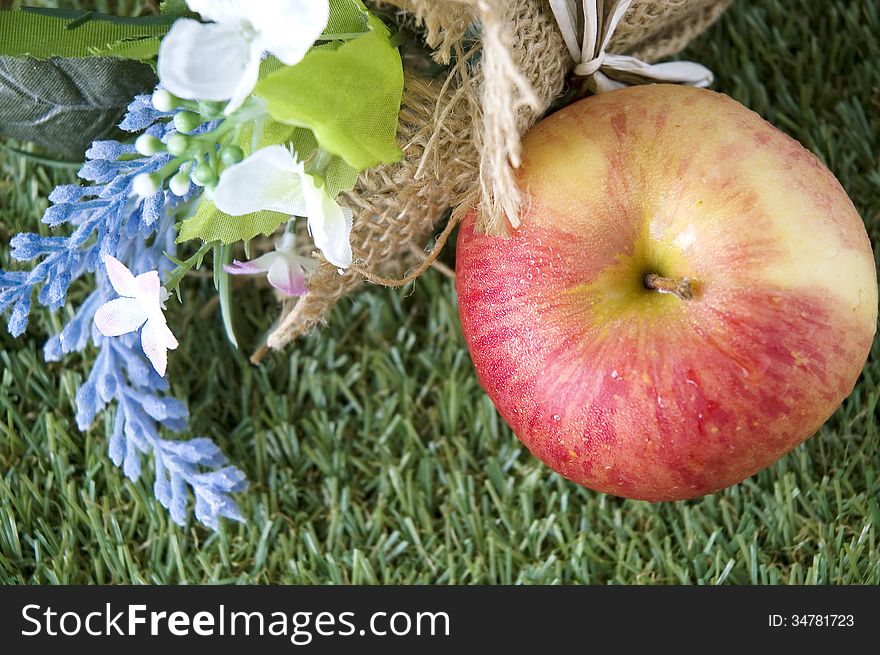 Apple With Flower On Grass